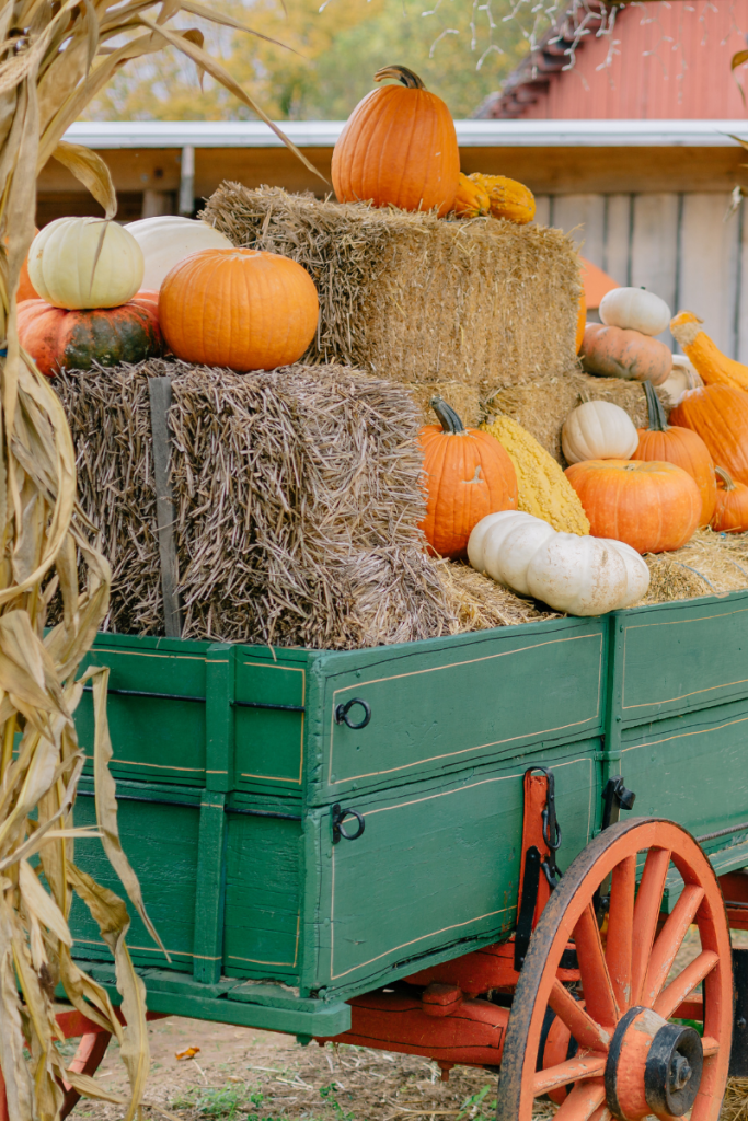 Mid Atlantic Farm Events Fall